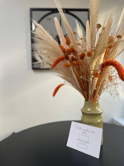 New Luxury For 2024 - Central Plymouth House - Sleeps 10 - Access To Plymouth Town - Close To The Barbican - Pets Welcome - Parking Available - By Luxe Living By Sophia Eksteriør billede