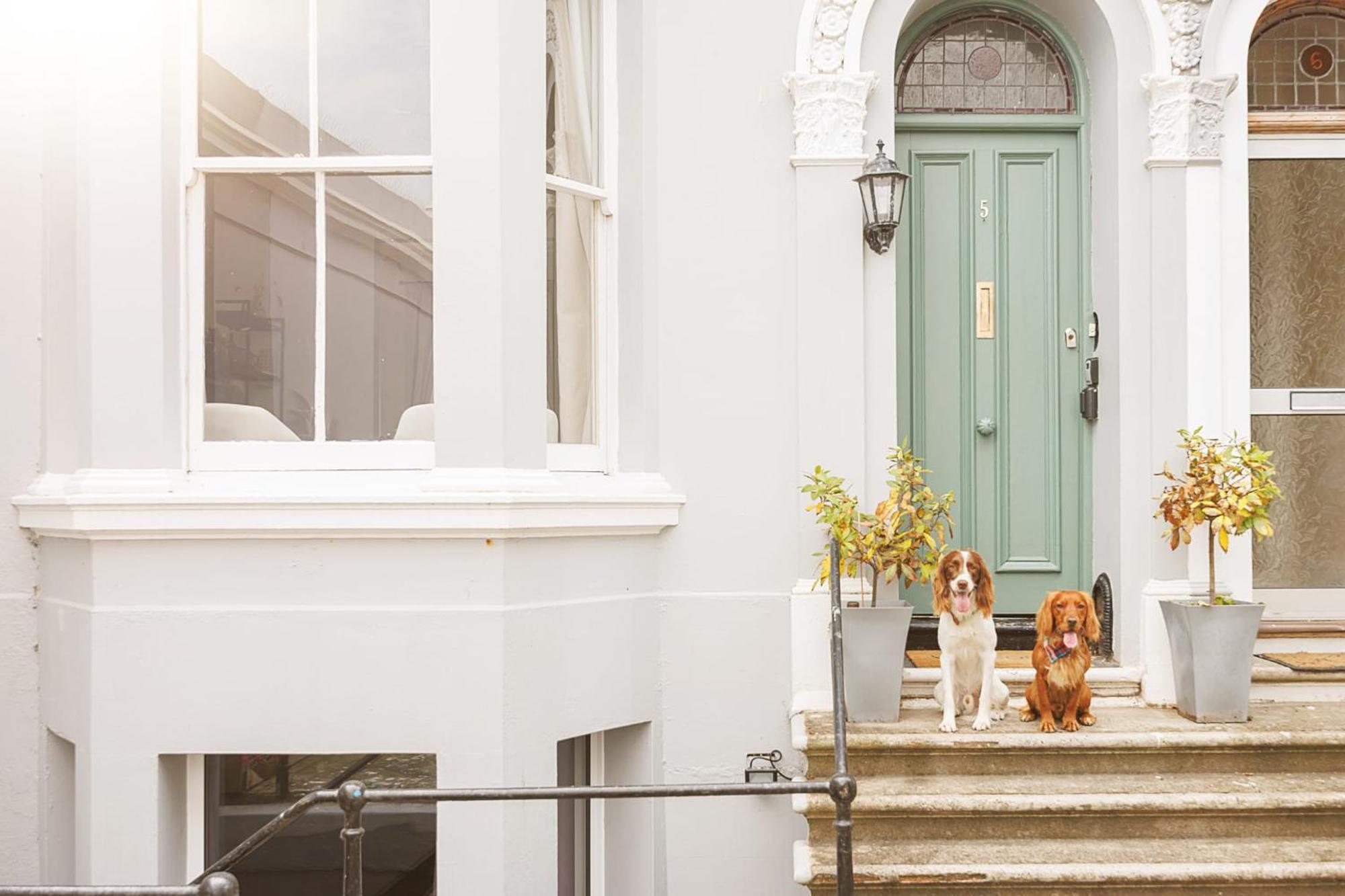 New Luxury For 2024 - Central Plymouth House - Sleeps 10 - Access To Plymouth Town - Close To The Barbican - Pets Welcome - Parking Available - By Luxe Living By Sophia Eksteriør billede