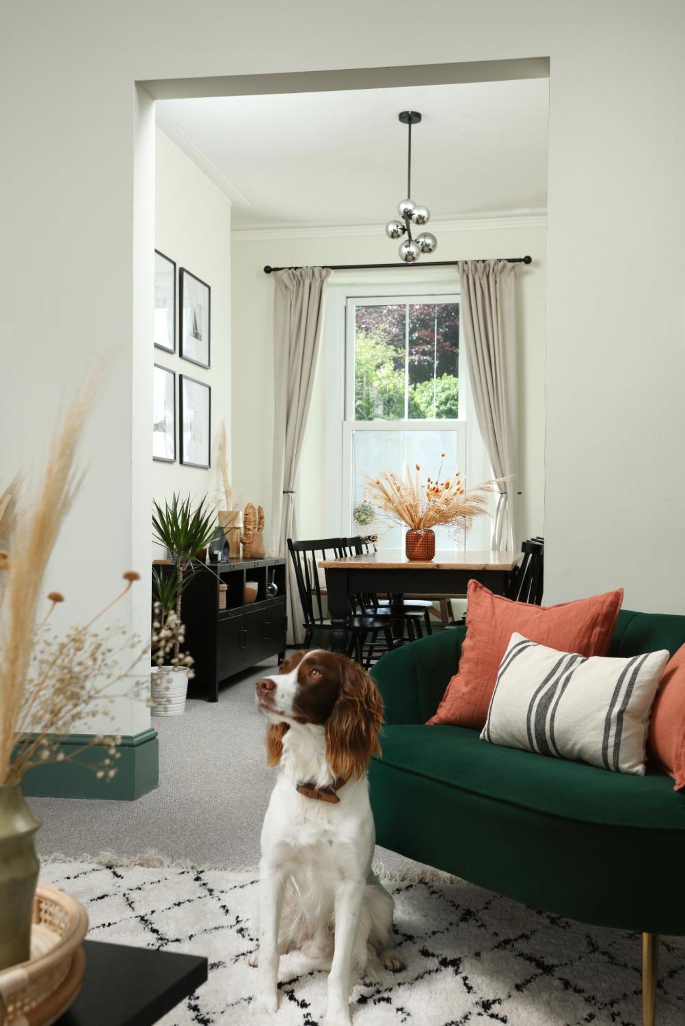 New Luxury For 2024 - Central Plymouth House - Sleeps 10 - Access To Plymouth Town - Close To The Barbican - Pets Welcome - Parking Available - By Luxe Living By Sophia Eksteriør billede